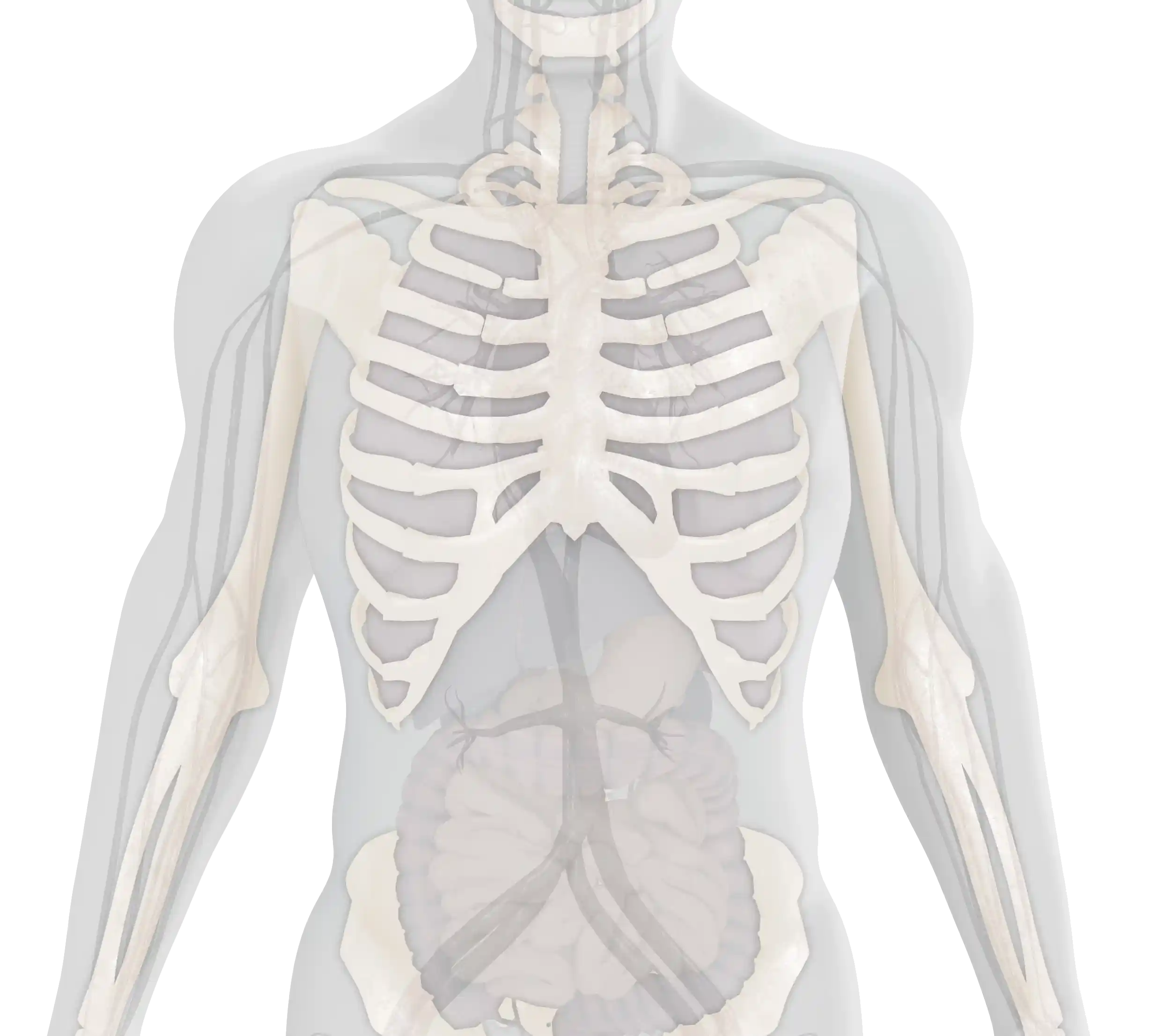 Image showing impacted organs and body parts