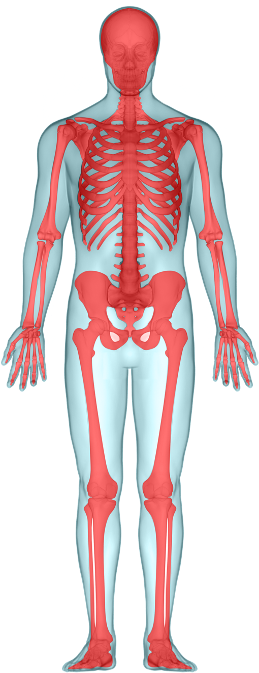 Skeletal symptoms in type 1 Gaucher patients